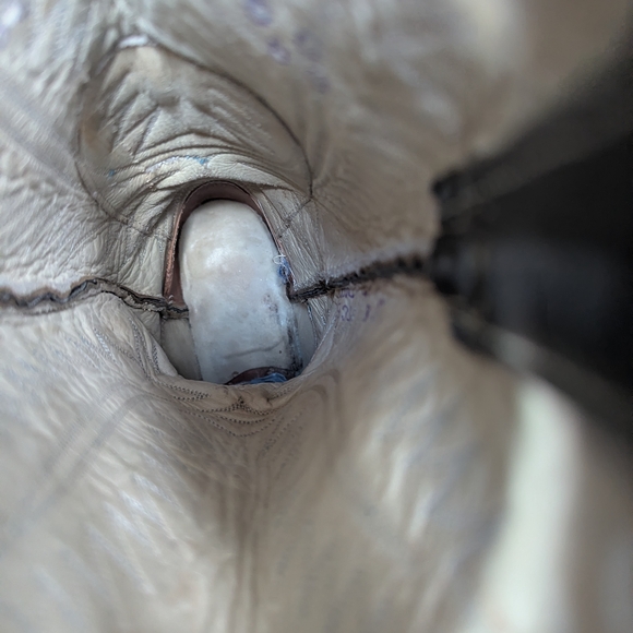 Dan Post models like the Manning Python Boot - Picture 12 of 16